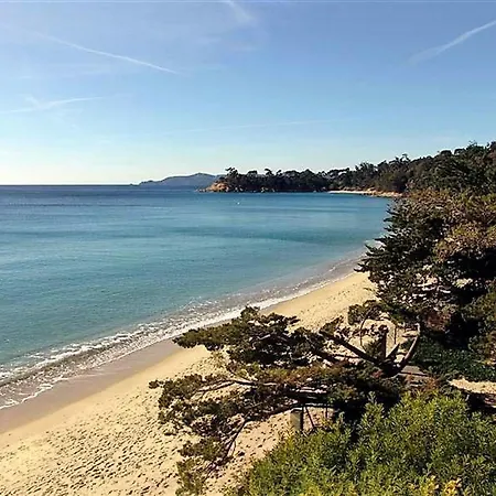 T2 Avec Terrasse Et Parking - 6 Couchages, Proche Plage, Calme Et Arbore - Fr-1-251-544 לה לבאנדו