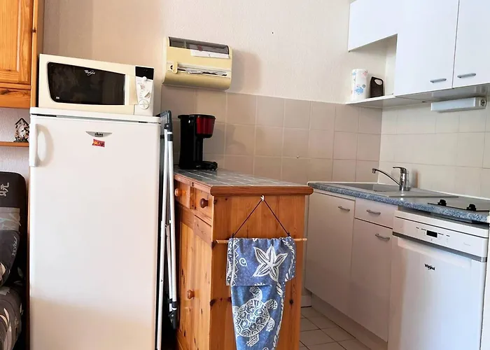 Apartman Appt 2p Avec Terrasse Et Parking - - Fr-1-251-544 *