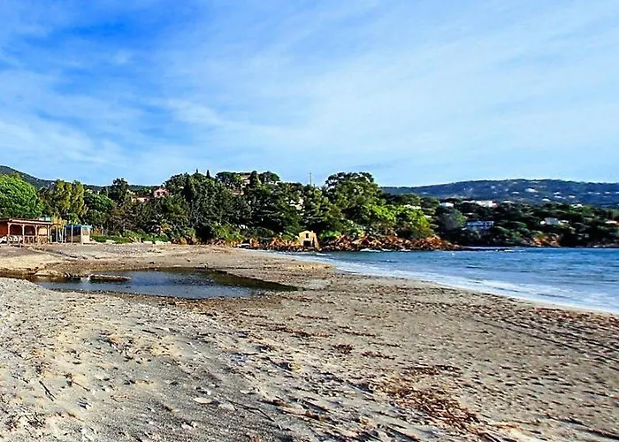 Appt 2p Avec Terrasse Et Parking - - Fr-1-251-544 Le Lavandou